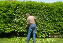 Services de jardinage marrakech Services de jardinage marrakech