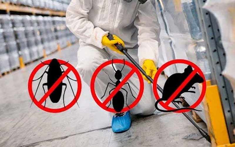 Hygiène et Traitement 3D Marrakech